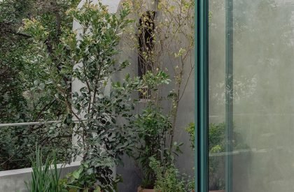Casa Sofia | AMASA Estudio