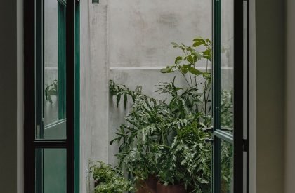 Casa Sofia | AMASA Estudio