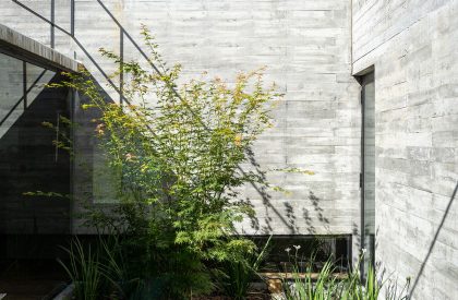 Tres Patios House | Besonias Almeida arquitectos