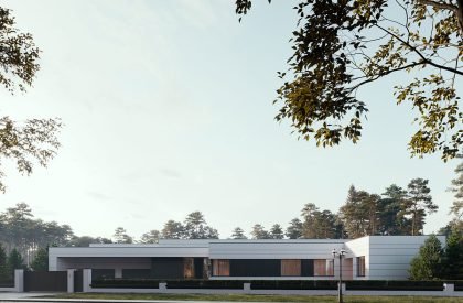 Villa in Renaissance Park | Architectural bureau Better