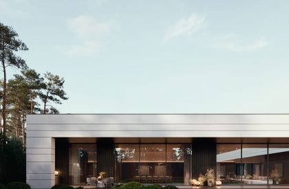 Villa in Renaissance Park | Architectural bureau Better