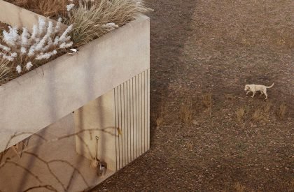 Wheatfield House | Architectural bureau Better