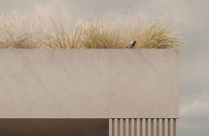 Wheatfield House | Architectural bureau Better