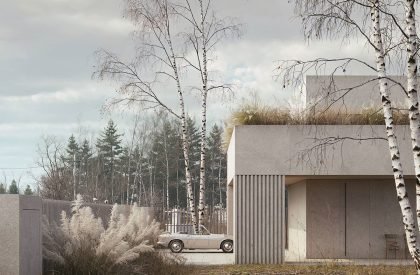 Wheatfield House | Architectural bureau Better