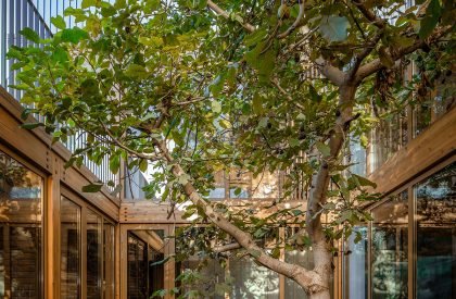 Lei Homestay | Archstudio