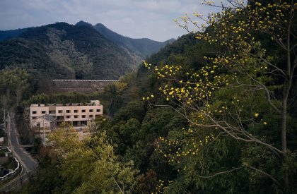Terraced Courtyard | Team BLDG