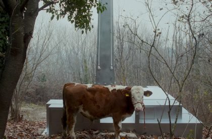 The Missing Room | Carroccera Collective
