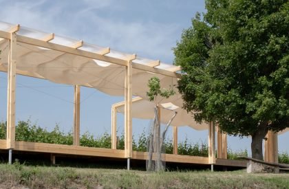 Ženy Víno Funk Festival 2025 | Jakub Kolarovič Architects