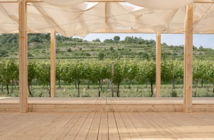 Ženy Víno Funk Festival 2025 | Jakub Kolarovič Architects