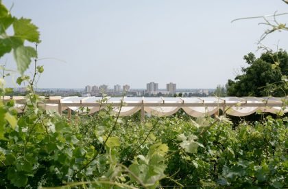 Ženy Víno Funk Festival 2025 | Jakub Kolarovič Architects