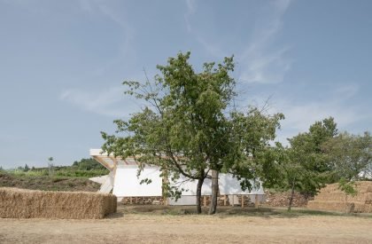 Ženy Víno Funk Festival 2025 | Jakub Kolarovič Architects
