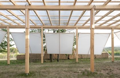 Ženy Víno Funk Festival 2025 | Jakub Kolarovič Architects