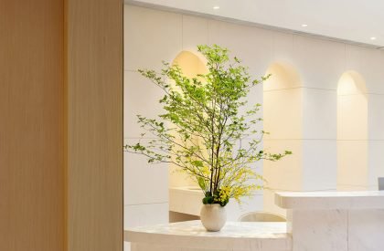 Artistic Healing in the Longevity Era | Wit Design & Research