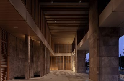 Artistic Healing in the Longevity Era | Wit Design & Research