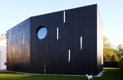 Birdhouse | YCL Studio