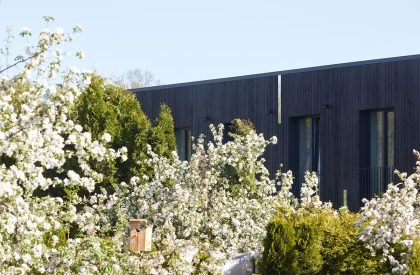 Birdhouse | YCL Studio