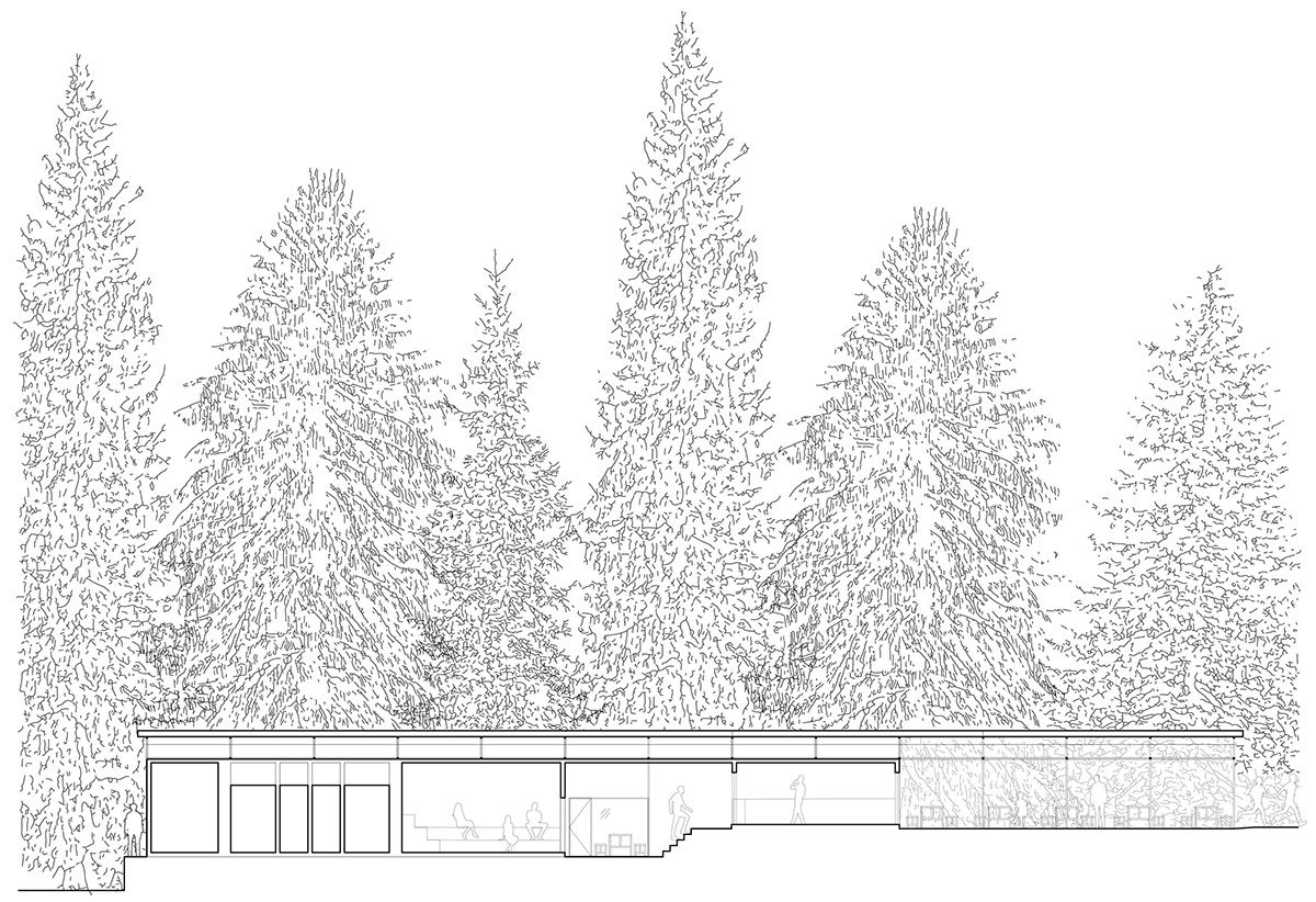 Forest Pool | Mjölk architekti + Marie Vondráková
