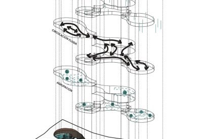 Forma Del Agua: Shape Of Water: A Regenerative Architecture Project That Transforms The Water Cycle Into A Habitable Experience Harmonic With The Páramo | Bachelor’s Design Thesis On Architecture And Territory