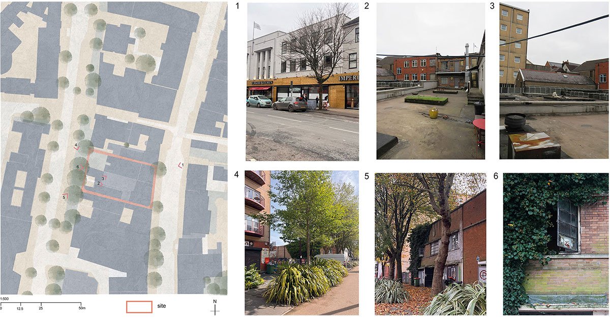 A Place For Growth: Exploring Biophilic And Culturally Sensitive Design For Marginalized Neurodiverse Populations | Architecture Thesis On Community Centre