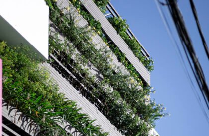 DKS House | MAS Architecture Workshop
