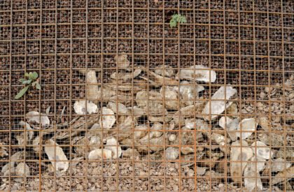 Earthsea Pavilion | Studio Ossidiana