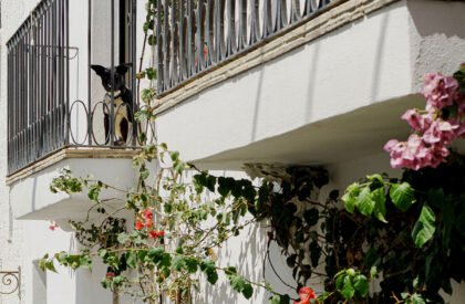 Fisherman’s House in Cadaqués | Bea Portabella + Jordi Pagès