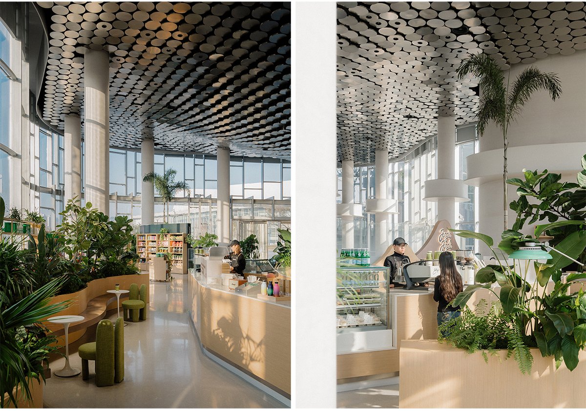 Jingle Jungle Creative Coffee | TSPACE Design