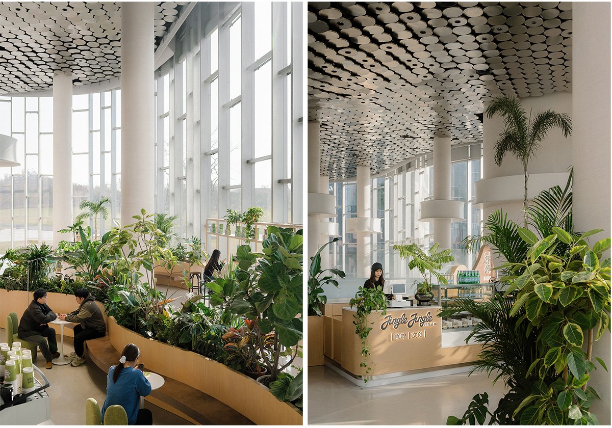 Jingle Jungle Creative Coffee | TSPACE Design