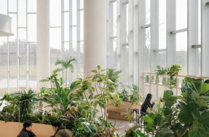 Jingle Jungle Creative Coffee | TSPACE Design