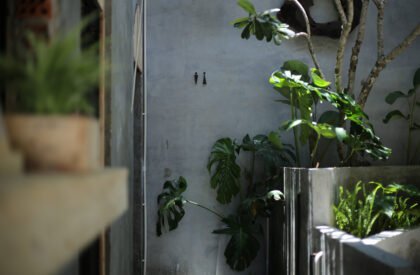 LyA Coffee | MAS Architecture