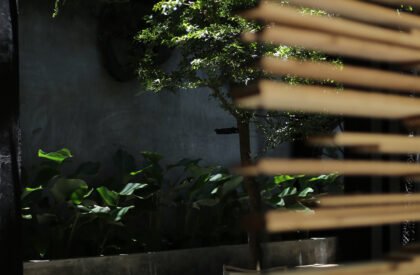 LyA Coffee | MAS Architecture
