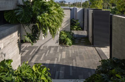 MCHU Villa | MAS Architecture