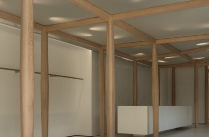 Nice Rice Chengdu Concept Store | Say Architects