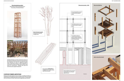 School for Living Ruins: An Alternative Pedagogy for Heritage and Public Engagement | Masters Design Project