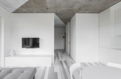 The White Triangles | YCL Studio