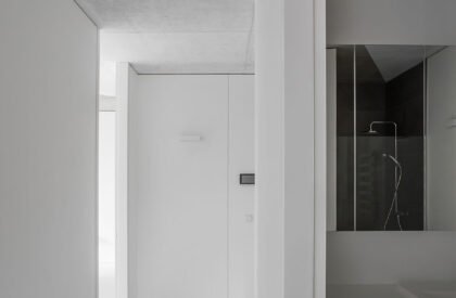 The White Triangles | YCL Studio