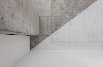 The White Triangles | YCL Studio