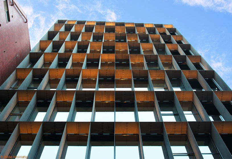 VECTORS in Fukuoka | SAKO Architects