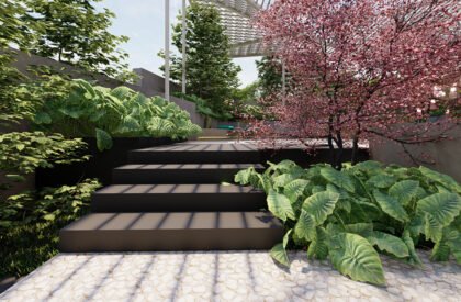 Taro | The Pinewood Studio