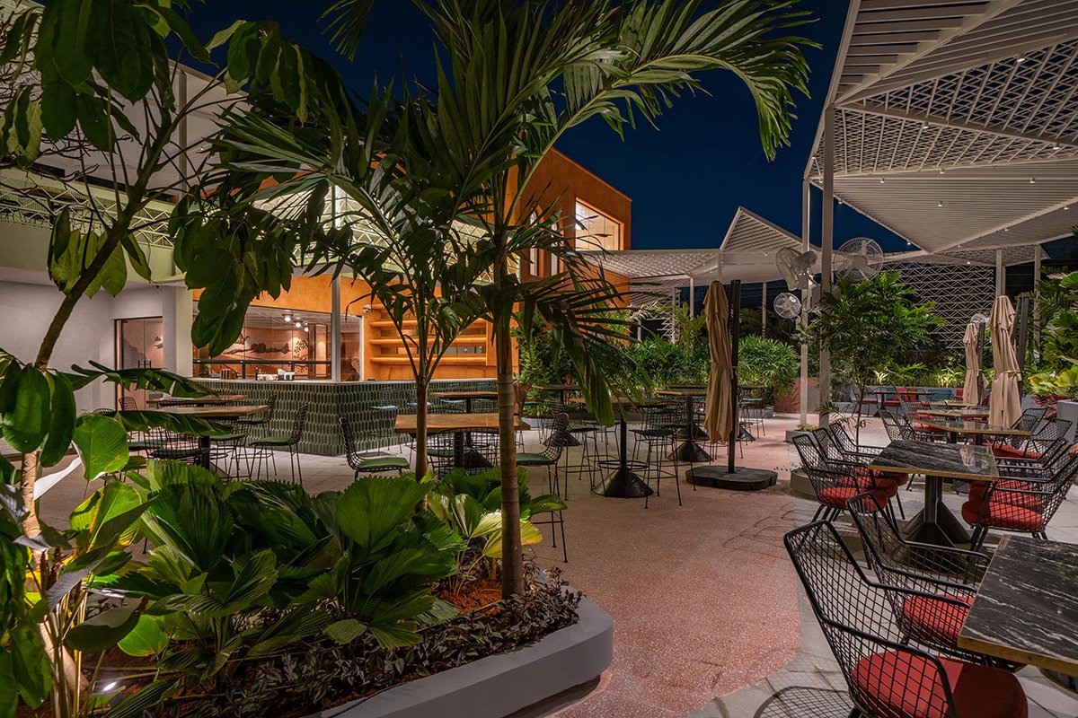 Taro | The Pinewood Studio