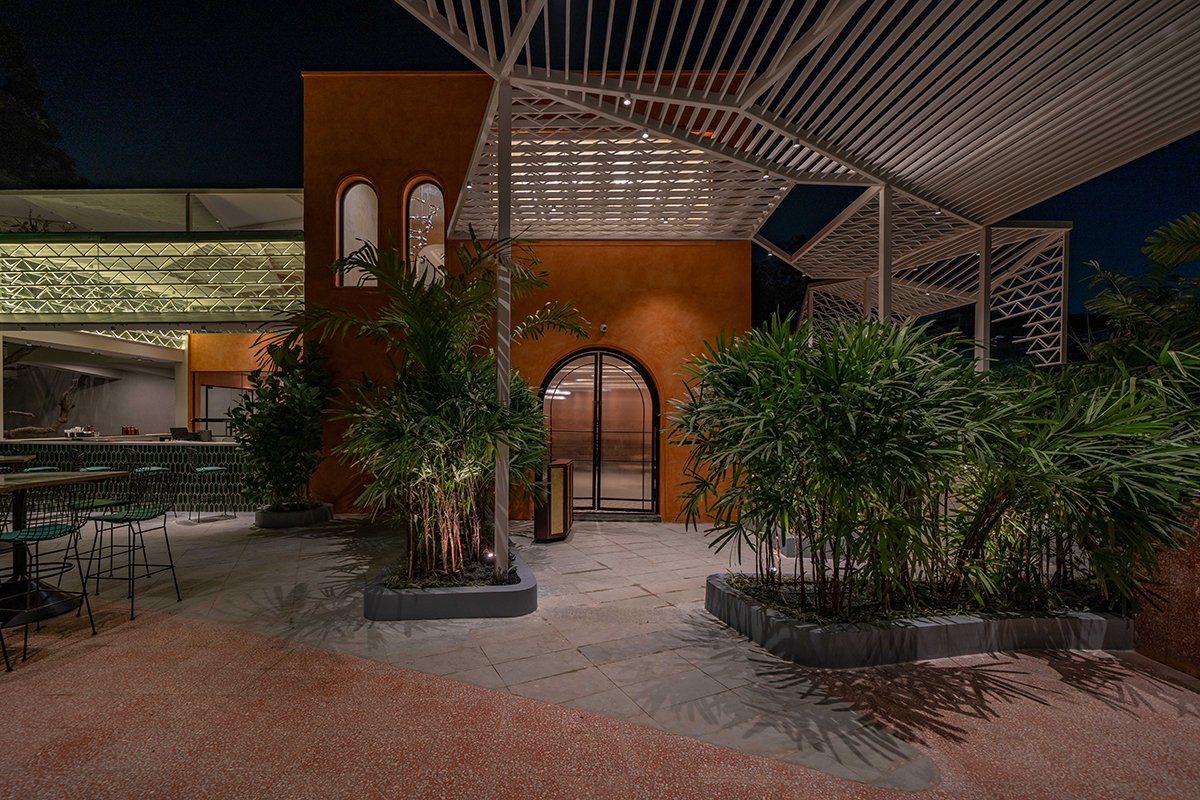 Taro | The Pinewood Studio