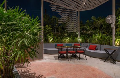 Taro | The Pinewood Studio