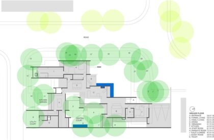 Trees Sliced Through | Matharoo Associates