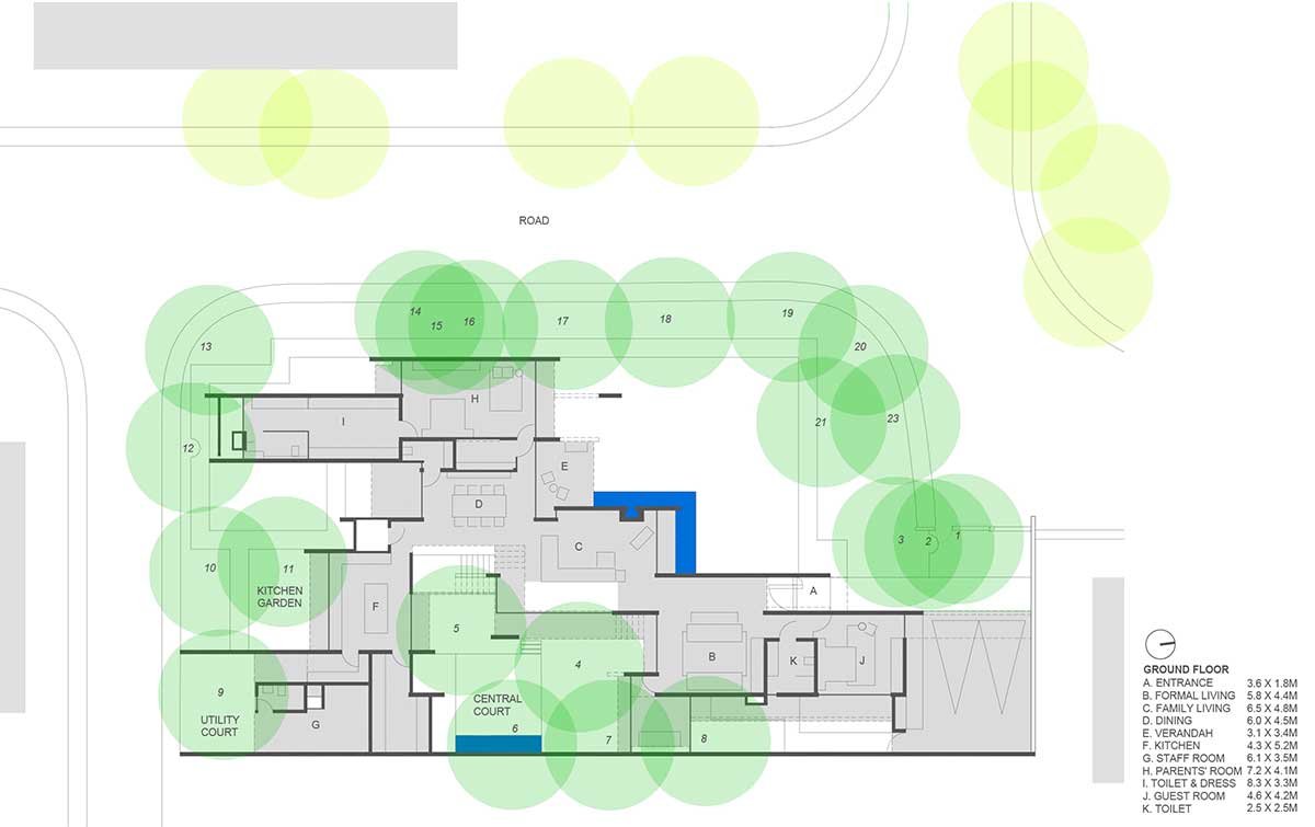 Trees Sliced Through | Matharoo Associates