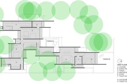 Trees Sliced Through | Matharoo Associates