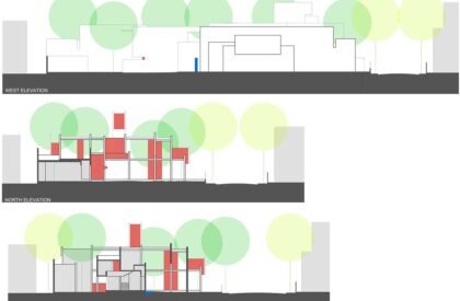 Trees Sliced Through | Matharoo Associates