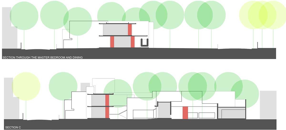 Trees Sliced Through | Matharoo Associates