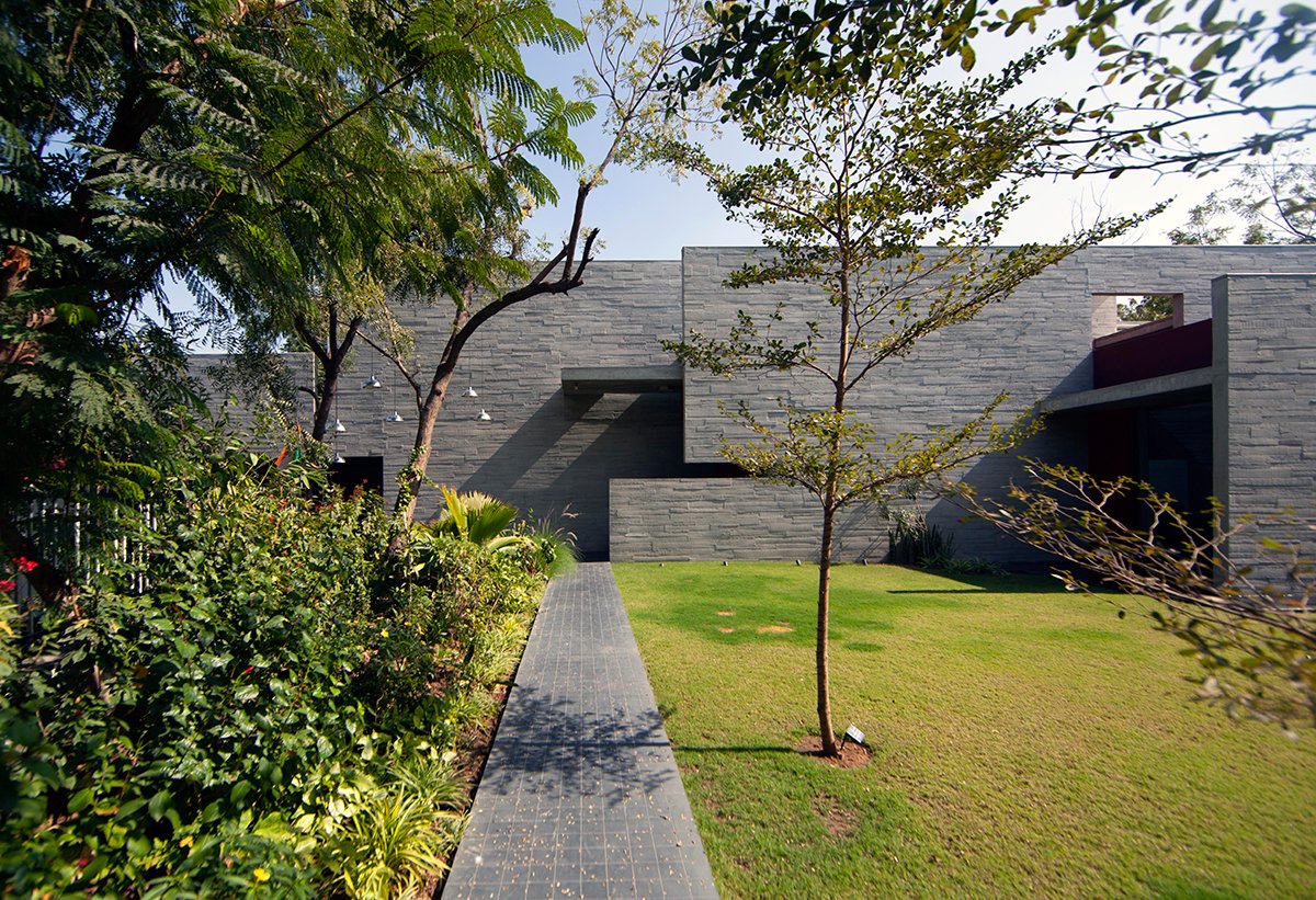 Trees Sliced Through | Matharoo Associates