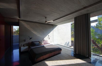 Trees Sliced Through | Matharoo Associates