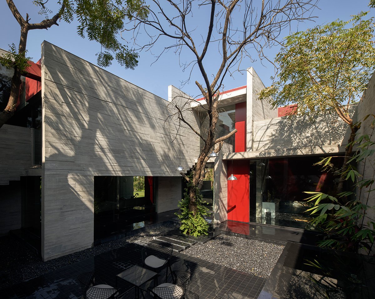 Trees Sliced Through | Matharoo Associates